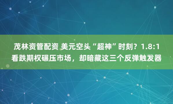 茂林资管配资 美元空头“超神”时刻？1.8:1看跌期权碾压市场，却暗藏这三个反弹触发器