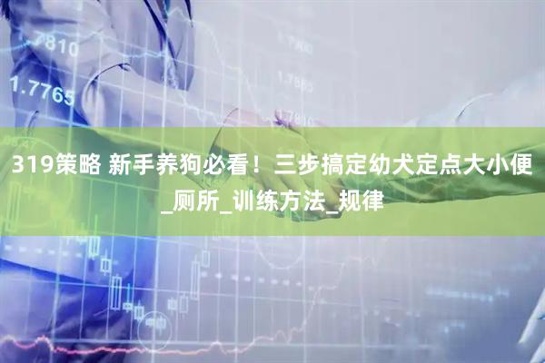 319策略 新手养狗必看！三步搞定幼犬定点大小便_厕所_训练方法_规律