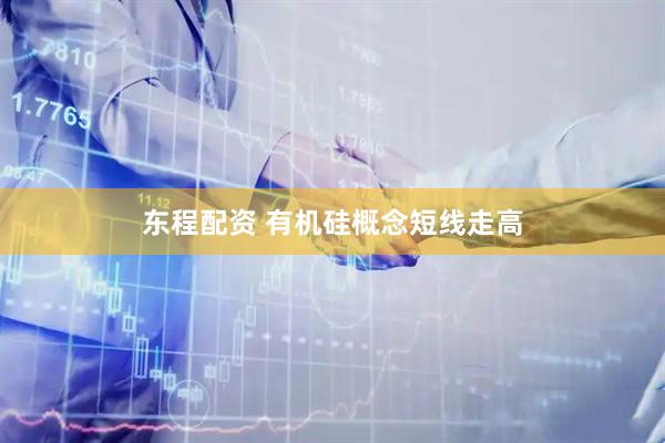 东程配资 有机硅概念短线走高