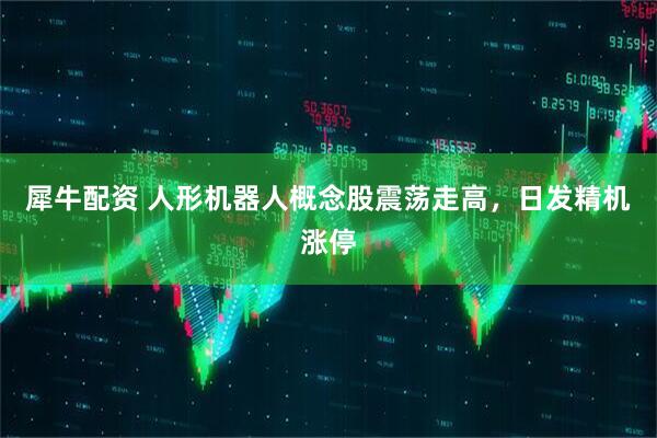犀牛配资 人形机器人概念股震荡走高，日发精机涨停