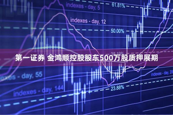 第一证券 金鸿顺控股股东500万股质押展期