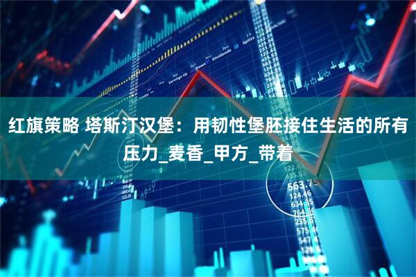 红旗策略 塔斯汀汉堡：用韧性堡胚接住生活的所有压力_麦香_甲方_带着