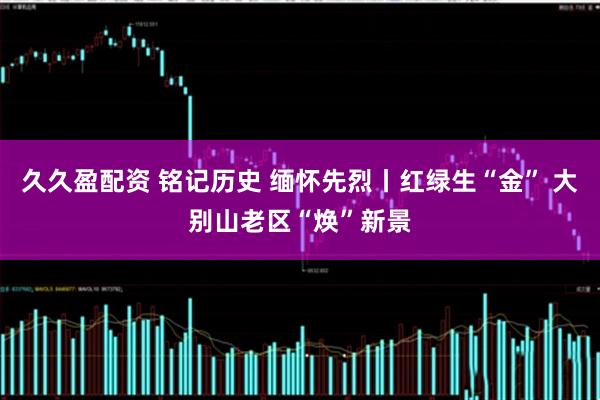 久久盈配资 铭记历史 缅怀先烈丨红绿生“金” 大别山老区“焕”新景
