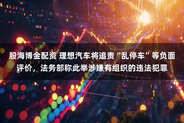 股海博金配资 理想汽车将追责“乱停车”等负面评价，法务部称此举涉嫌有组织的违法犯罪