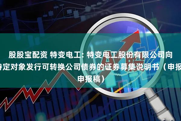 股股宝配资 特变电工: 特变电工股份有限公司向不特定对象发行可转换公司债券的证券募集说明书（申报稿）